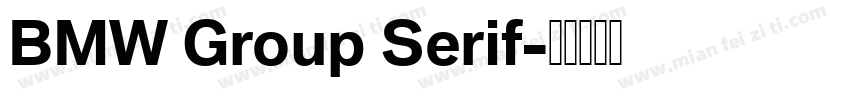 BMW Group Serif字体转换